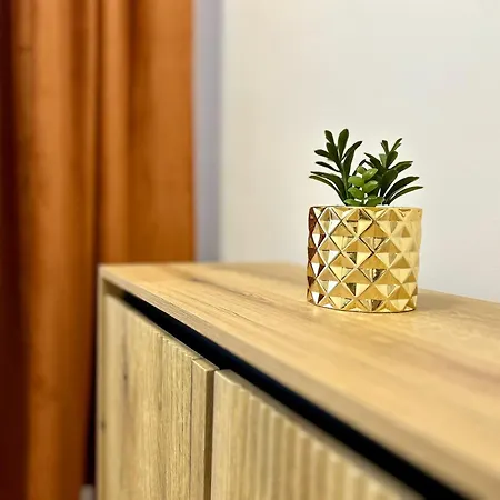 Minidude By Altidude