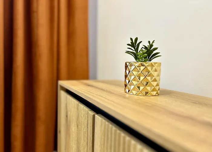 Minidude By Altidude